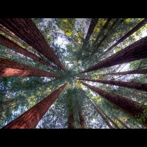 Meet your Posher, M!